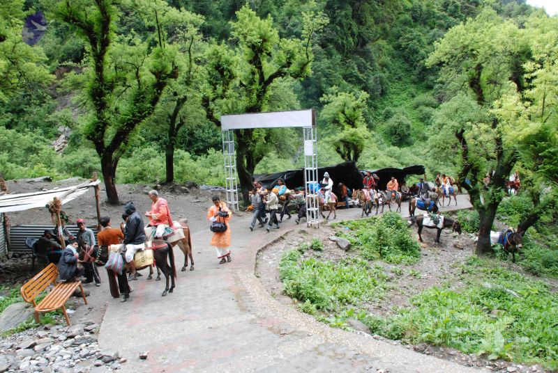 File:20080630 DSC 0301 CMP WM.jpg