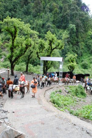 20080630 DSC 0302 CMP WM.jpg