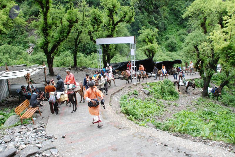 File:20080630 DSC 0303 CMP WM.jpg