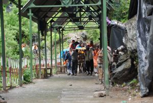 20080630 DSC 0329 CMP WM.jpg