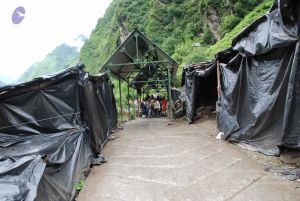 20080630 DSC 0336 CMP WM.jpg