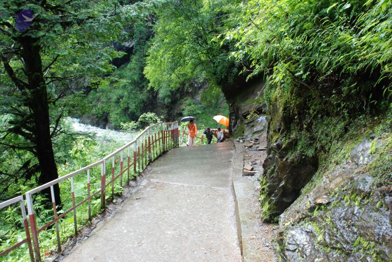 File:20080630 DSC 0540 CMP WM.jpg