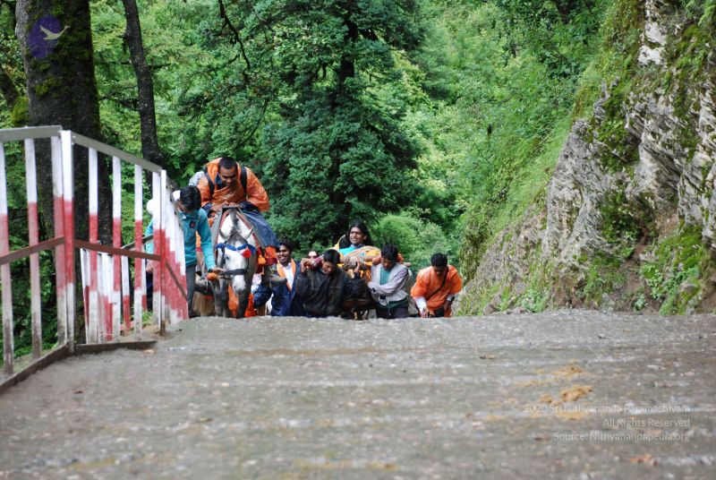 File:20080630 DSC 0588 CMP WM.jpg