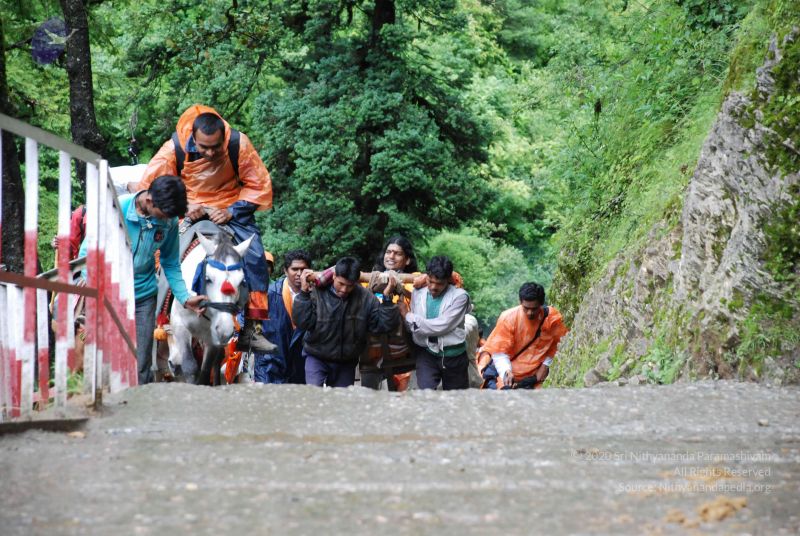 File:20080630 DSC 0589 CMP WM.jpg