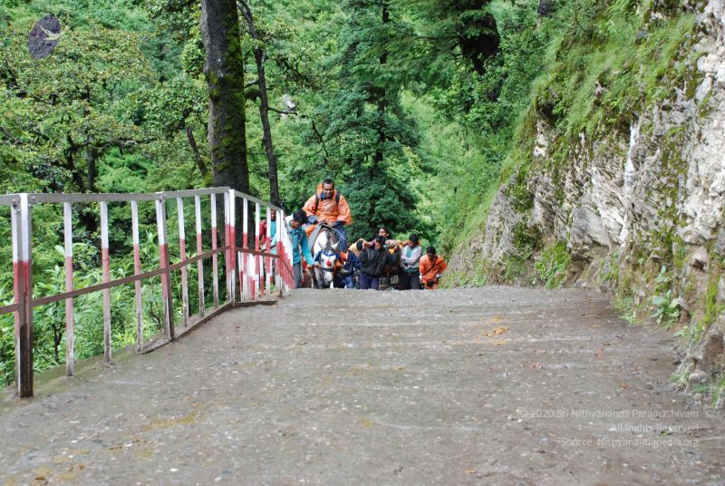 File:20080630 DSC 0590 CMP WM.jpg