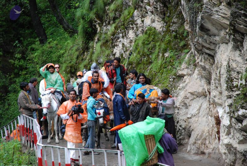 File:20080630 DSC 0606 CMP WM.jpg