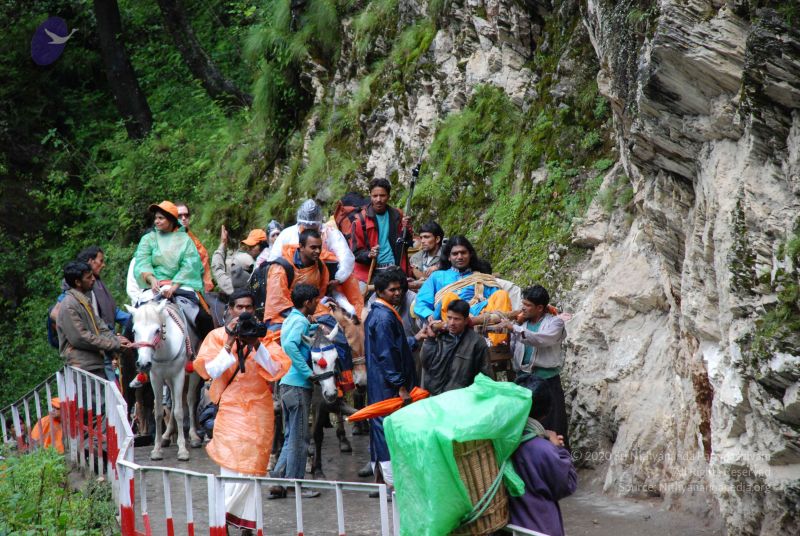 File:20080630 DSC 0607 CMP WM.jpg