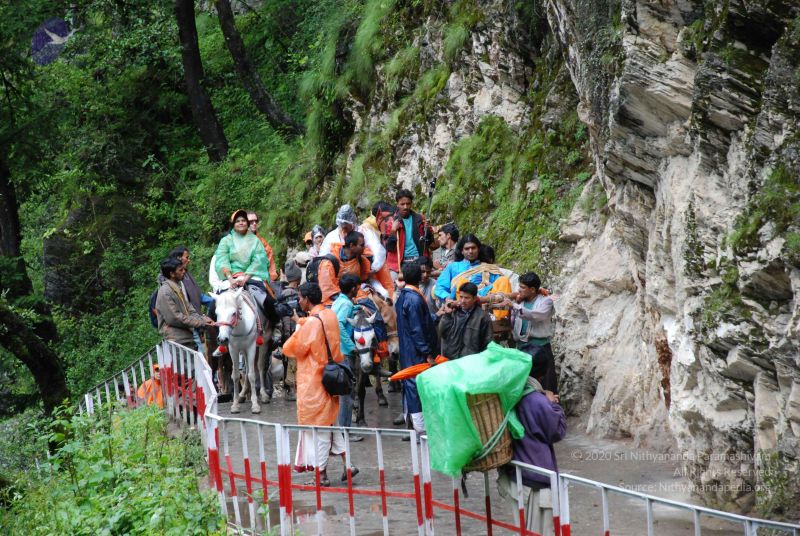 File:20080630 DSC 0610 CMP WM.jpg