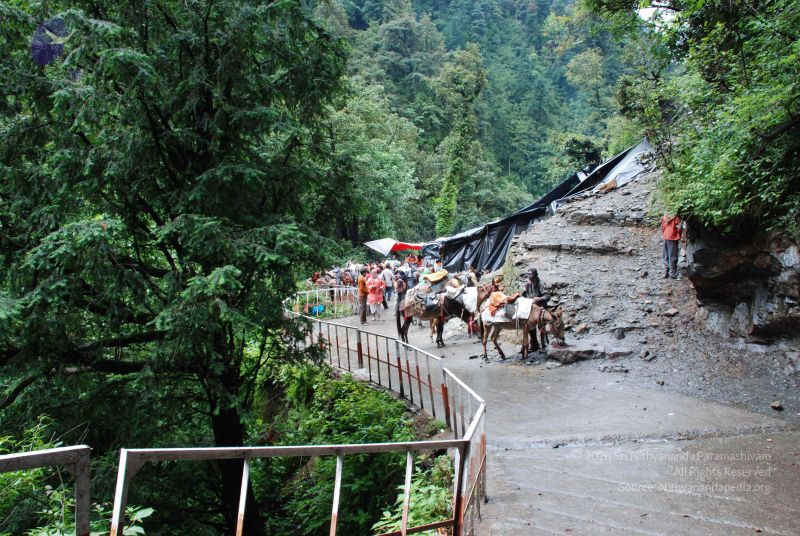 File:20080630 DSC 0620 CMP WM.jpg