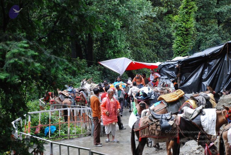 File:20080630 DSC 0621 CMP WM.jpg