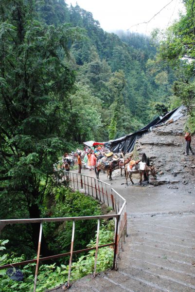 File:20080630 DSC 0627 CMP WM.jpg