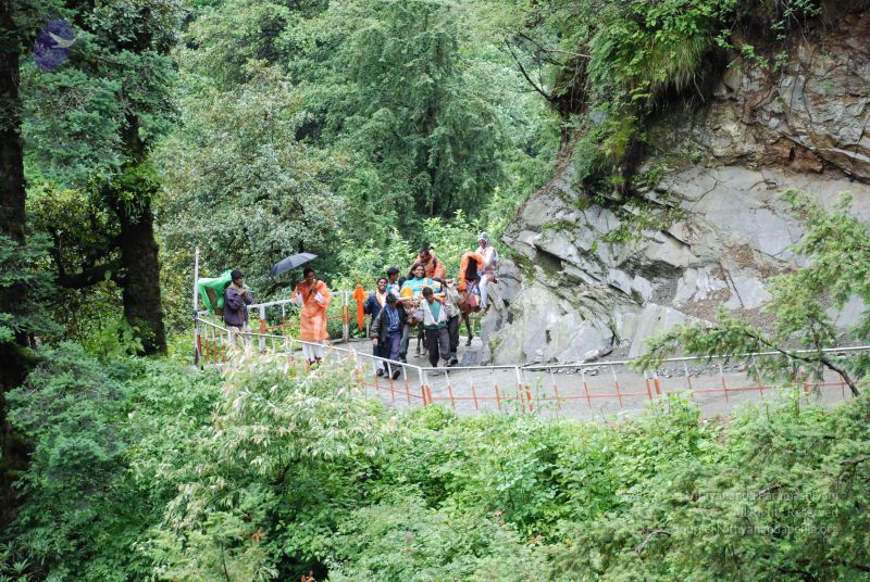 File:20080630 DSC 0635 CMP WM.jpg