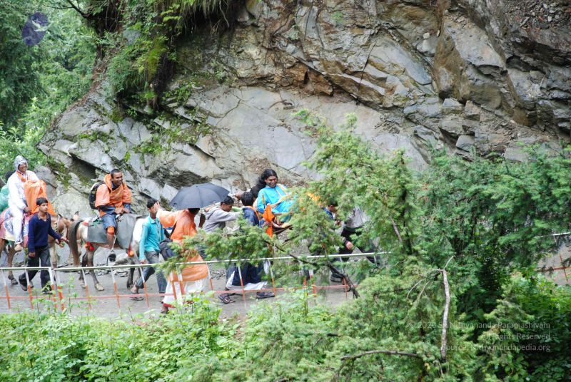 File:20080630 DSC 0640 CMP WM.jpg