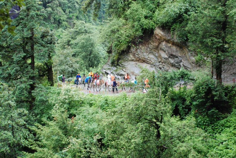 File:20080630 DSC 0641 CMP WM.jpg