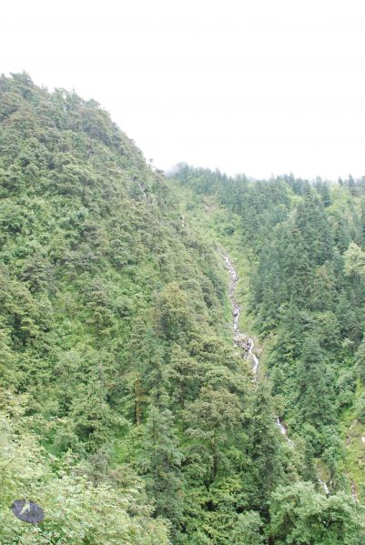 File:20080630 DSC 0652 CMP WM.jpg