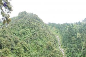 20080630 DSC 0653 CMP WM.jpg