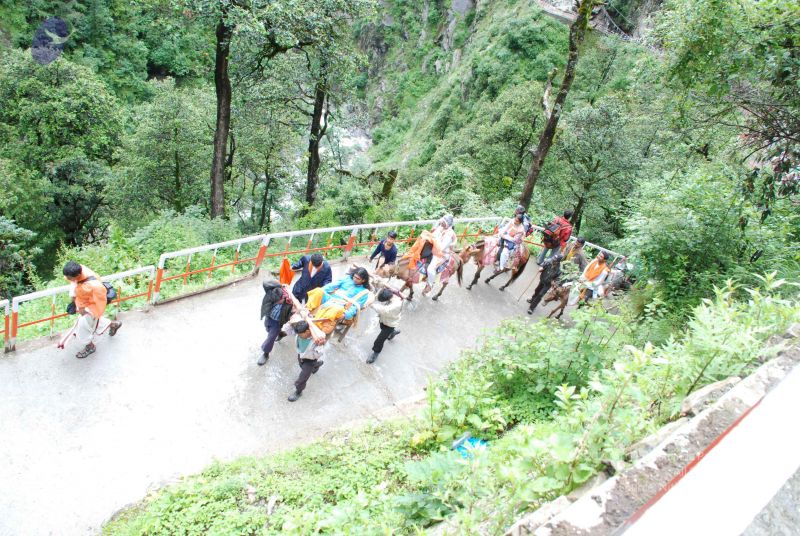 File:20080630 DSC 0725 CMP WM.jpg