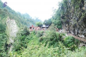 20080630 DSC 0778 CMP WM.jpg