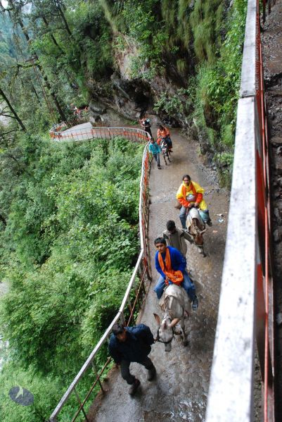 File:20080630 DSC 0812 CMP WM.jpg