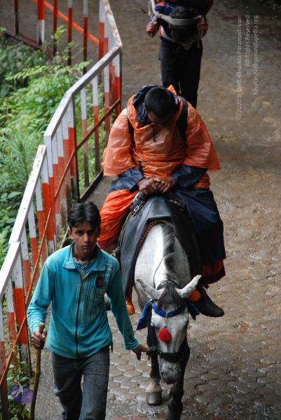 File:20080630 DSC 0814 CMP WM.jpg