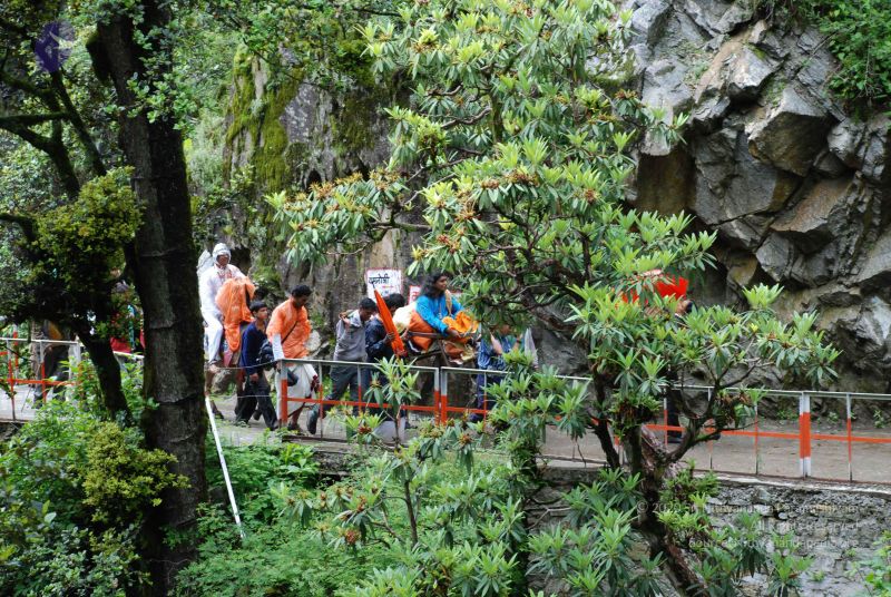 File:20080630 DSC 0835 CMP WM.jpg