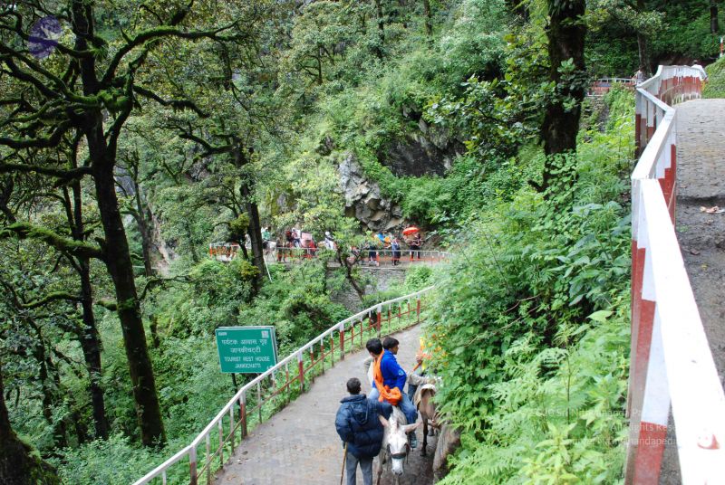 File:20080630 DSC 0837 CMP WM.jpg