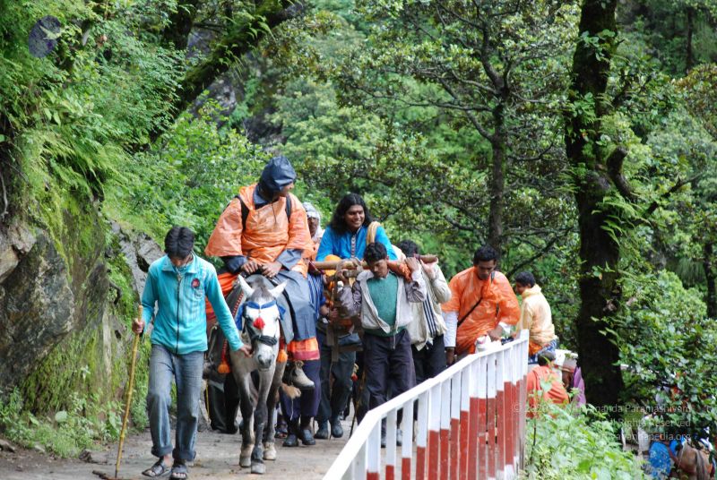 File:20080630 DSC 0847 CMP WM.jpg