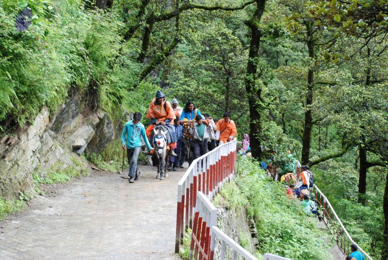 File:20080630 DSC 0848 CMP WM.jpg