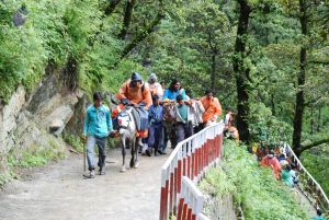 20080630 DSC 0850 CMP WM.jpg