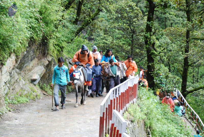 File:20080630 DSC 0850 CMP WM.jpg