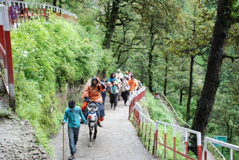 File:20080630 DSC 0856 CMP WM.jpg