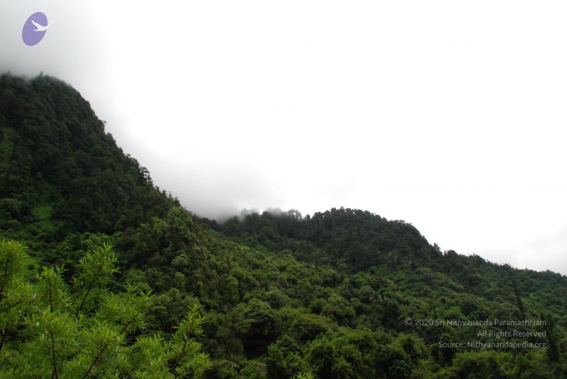 File:20080630 Photo 1093 120AaPg8 Pevt jp-i3Zb 6XUaNZ57s3G.JPG