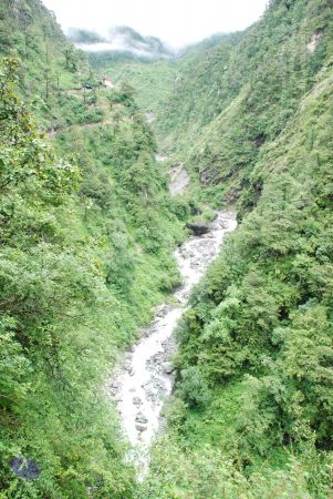 20080630 Photo 1169 1yJ80CCQwEhO iwY q-IiywiNjQVOqt7S.JPG