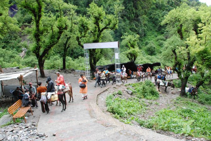 20080630 Photo 1687 15XCjJ CwMq7iKEaNGVhdZkT5p9zl34vq.JPG