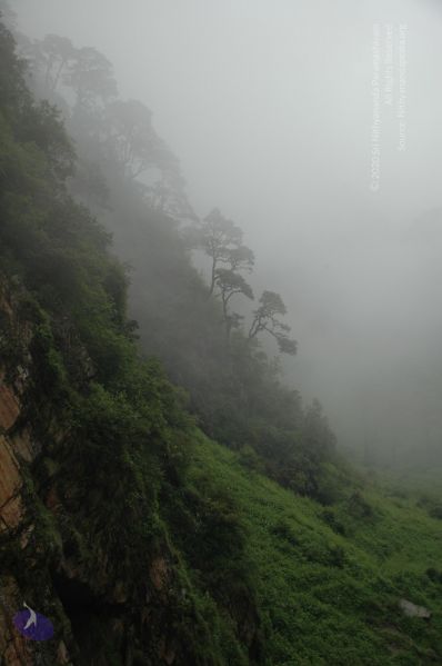 File:20080630 Photo 2094 1bK5Mh7kV0l75L2IUVKQSD7- Bs5bPzS3.JPG