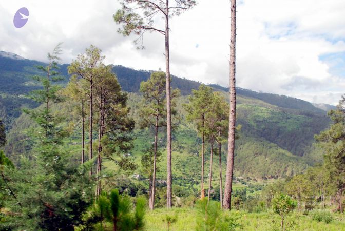 20080701 DSC 0020 CMP WM 0011.jpg