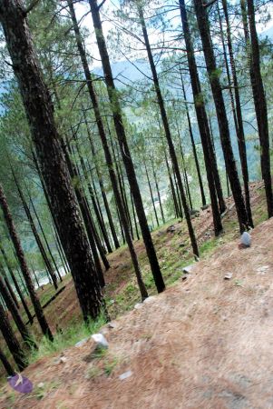 20080701 DSC 0101 CMP WM 0011.jpg