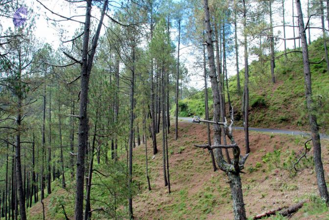 20080701 DSC 0181 CMP WM 0011.jpg