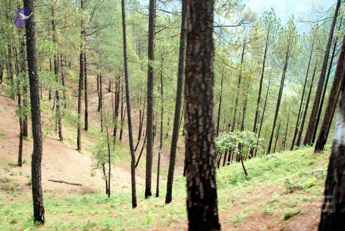 20080701 DSC 0186 CMP WM 0011.jpg