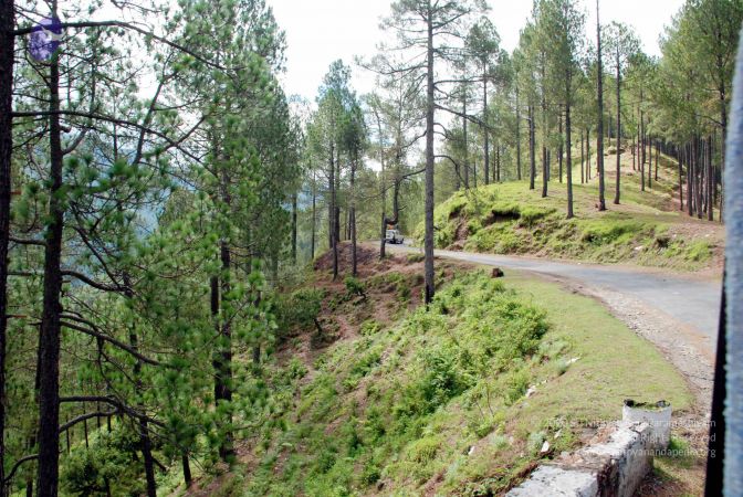 20080701 DSC 0191 CMP WM 0011.jpg