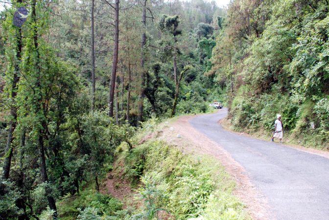 20080701 DSC 0215 CMP WM 0011.jpg