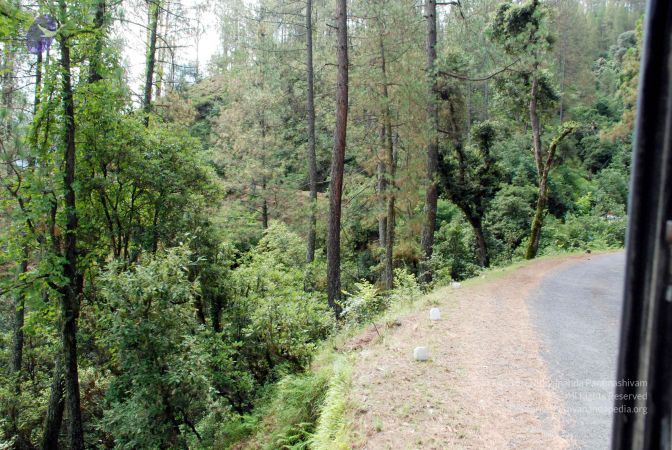 20080701 DSC 0216 CMP WM 0011.jpg