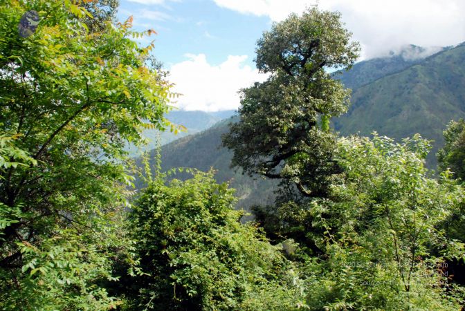 20080701 DSC 0256 CMP WM 0011.jpg