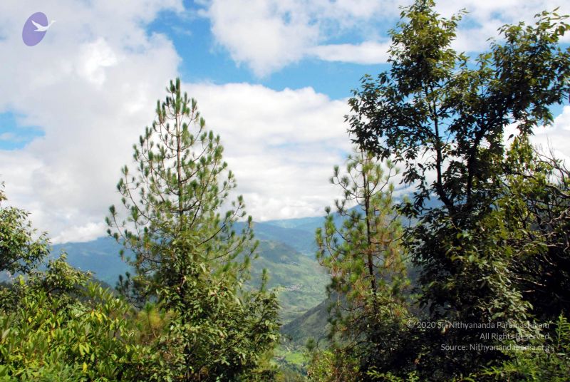 File:20080701 DSC 0258 CMP WM 0011.jpg