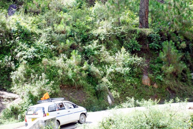 20080701 DSC 0438 CMP WM 0011.jpg