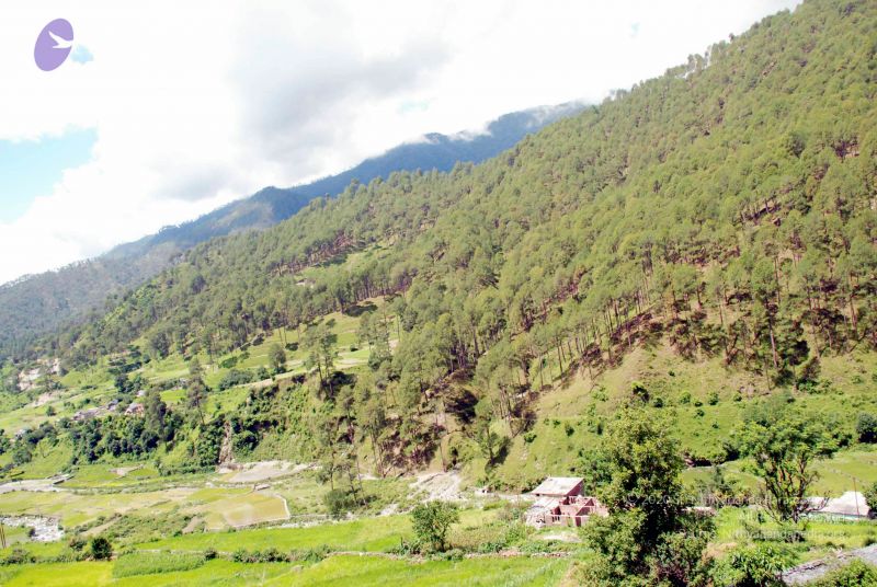 File:20080701 DSC 0475 CMP WM 0011.jpg