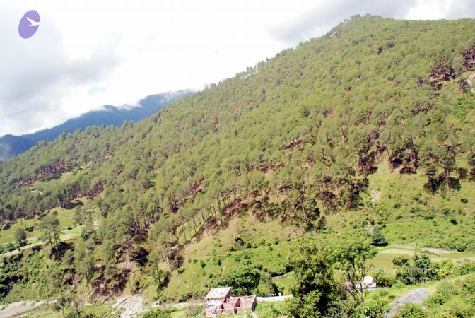 20080701 DSC 0476 CMP WM 0011.jpg