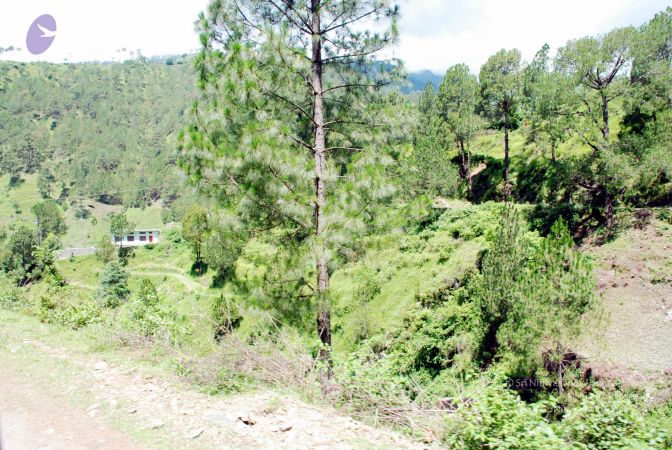 20080701 DSC 0535 CMP WM 0011.jpg