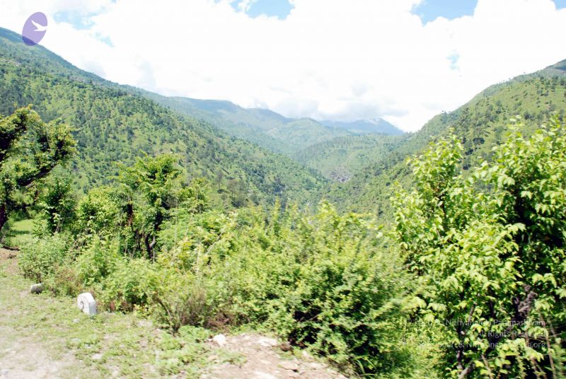 File:20080701 DSC 0563 CMP WM 0011.jpg