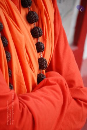 20080701 Photo 1161 1gycOZFozFhZb5T79VvLwPXT5KLP9-aIh.JPG